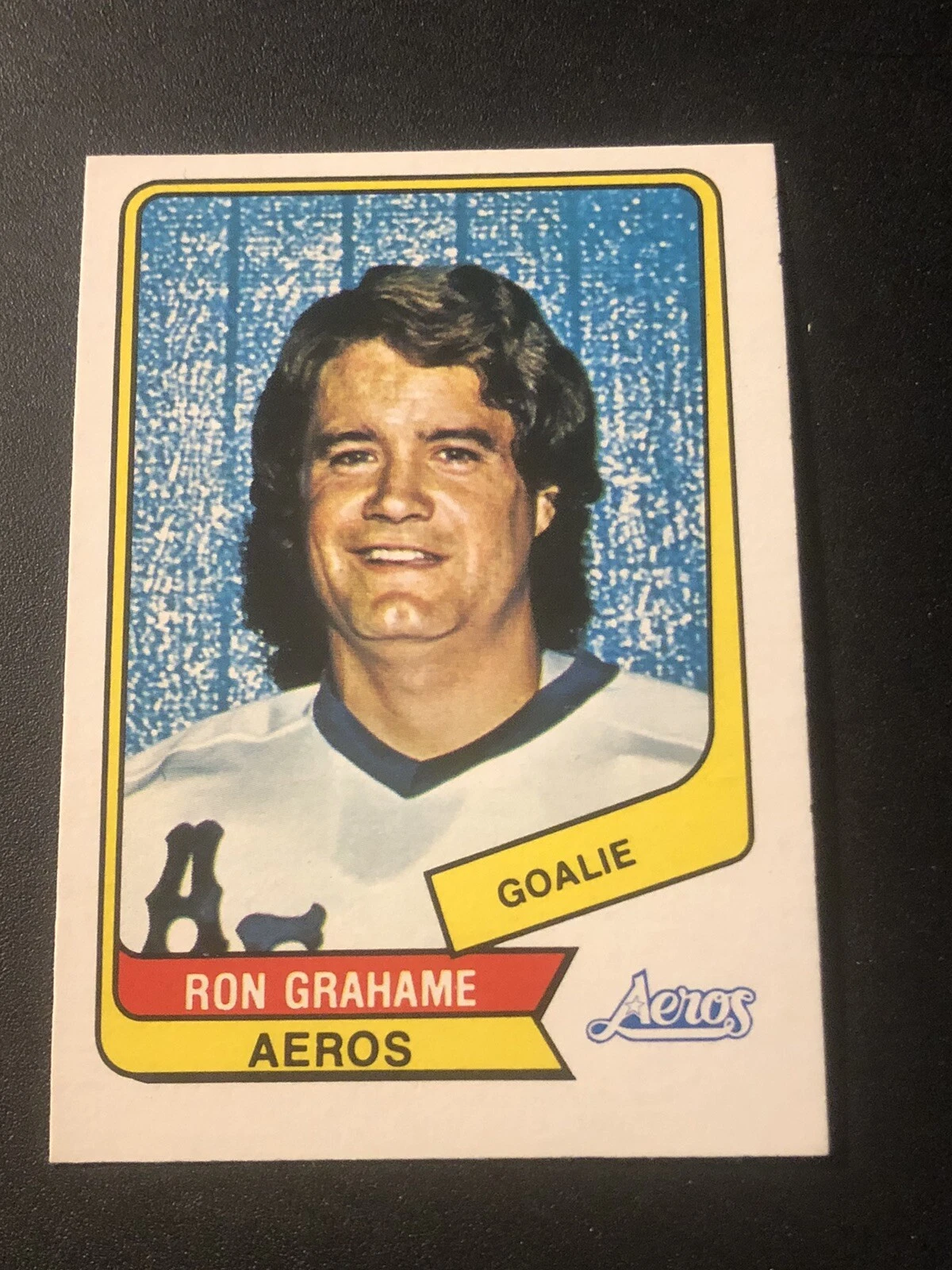1976-77 O-Pee-Chee WHA Ron Grahame #107