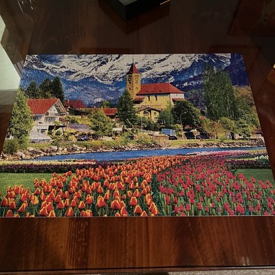 #ad Kodiak 1000 Piece Jigsaw Puzzle Landscape With Tulips And Mountains $9.50