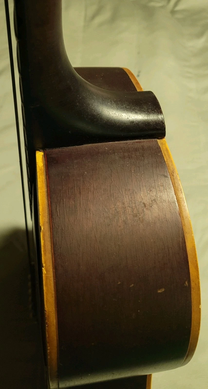 Picture 9 of 24