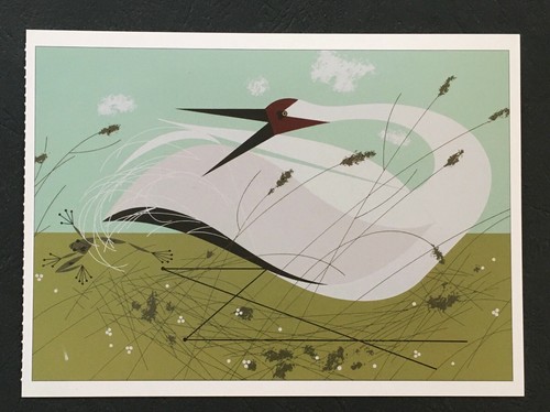 Charley Harper Bird / Animal Postcards - Choose Postcard Design From List - Picture 28 of 62