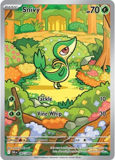 Snivy