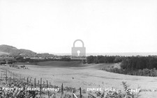 Birds Eye View Empire Michigan MI - Reprint