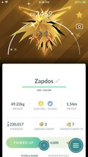 Pokemon Shiny Zapdos Team Instinct Kalos Background -P T C Mi'ni GO- Description