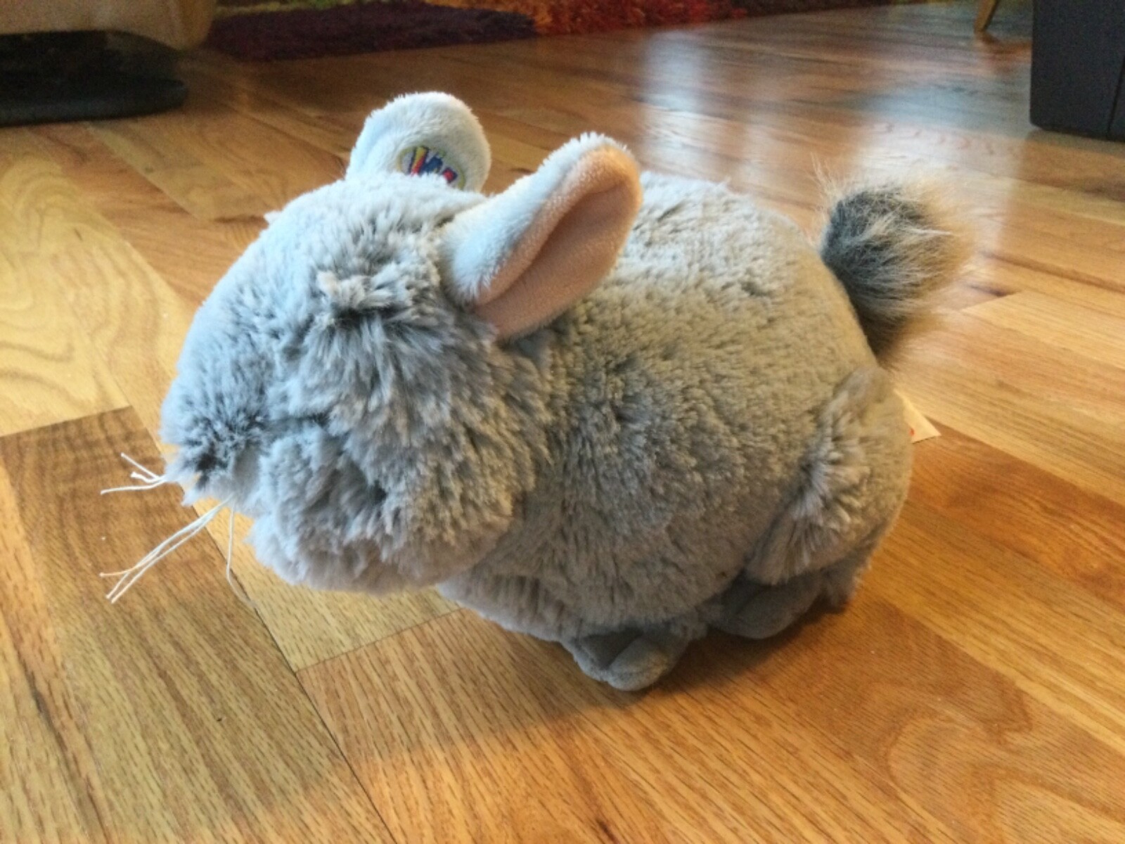 Foto 2 di 3