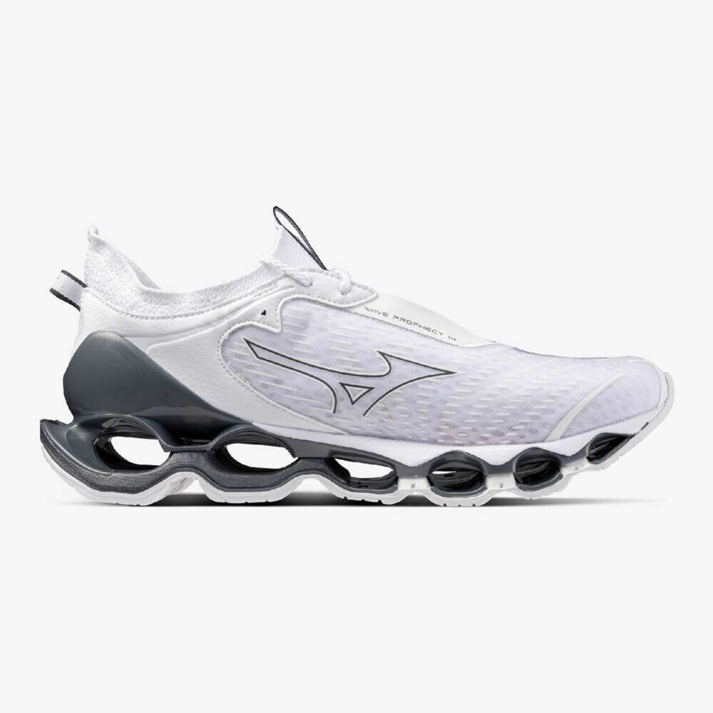 MIZUNO WAVE PROPHECY 14 (White/Silver) J1GC2551-32 [Unisex] High