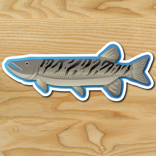 (1) ONE Muskie Fish Decal Sticker Car Boating Boat Fishing Rod Lake