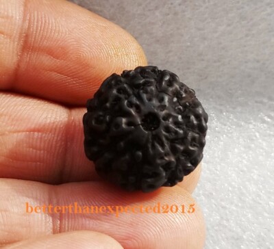 BLACK 8 MUKHI RUDRAKSHA EIGHT FACE RUDRAKSH ~ENERGIZED