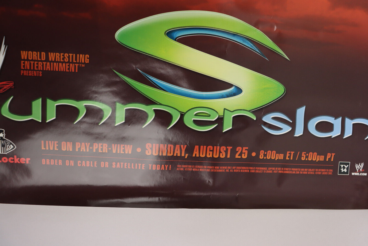 Rare VTG WWE Summerslam 2002 PPV The Rock vs Brock Lesnar Promo Wrestling  Poster