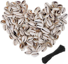 200PCS Gray 0.55"-0.63" Natural Strong Cowrie Shell Beads Smooth Cut Oval Seashe