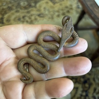 18th Century Super Forged Iron Coupled 3 Inch Snake Found NC