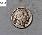 1919-D Buffalo Nickel  ~ VF/XF ~ Key Date! ~ ZB122