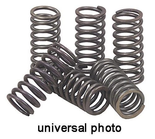 Ebc Brakes    Csk12    Clutch Spring Kit