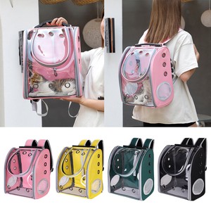 backpack for sightseeing