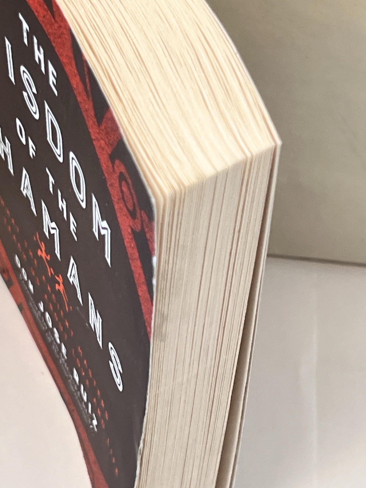 Wisdom of the Shamans: What the Ancient Masters Can Teach Us about Love  Life BB