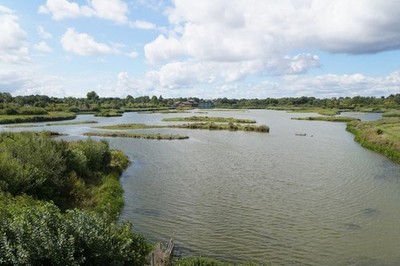 Foto 6x4 Blick über die Hauptlagune im London Wetland Centre, Barnes c2017