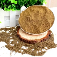 Eva Impex Ajmod Powder – Wild Celery (Apium Graveolens)