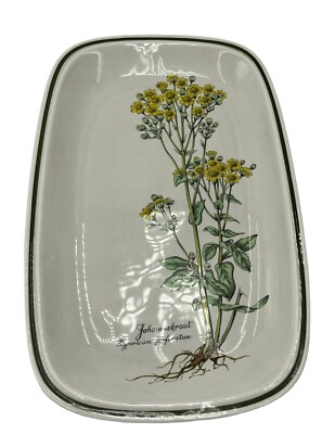 Winterling Germany Botanical  Gardens Plate Johanniskraut Hypericium Perforatum