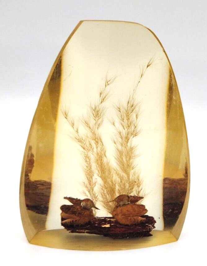Vintage Acrylic Resin Paperweight, Ducks on Log, Seed Pod, Plant, Nature