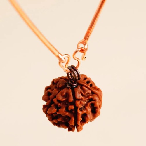 Adiyogi Rudraksha with copper chain (Long Chain). Energized Isha Panchamukhi - Picture 6 of 11