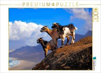 Calvendo Puzzle Cofete 2000 Teile Puzzle Quer | 2000 Teile Lege-GrößE 90X67Cm Fo
