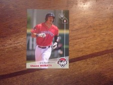 2019 ERIE SEAWOLVES Grandstand Minor League Single Cards YOU PICK OBO