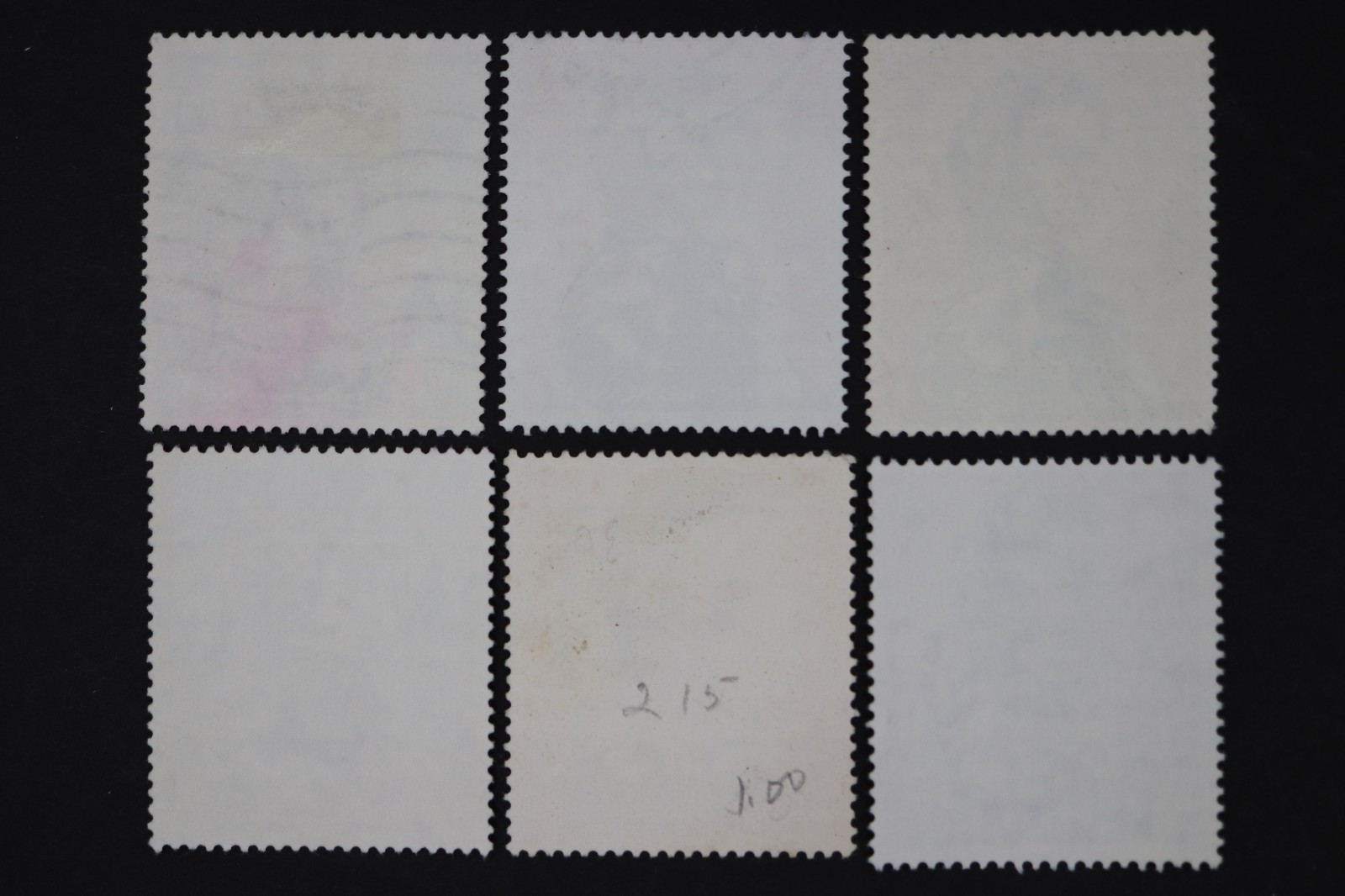 Picture 2