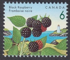 Canada - #1353iv Edible Berries - Black Raspberry, 
