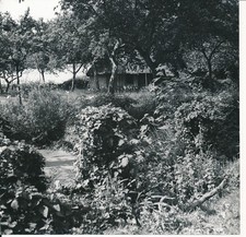 SASSETOT LE MAUCONDUIT c. 1950 - Ferme Chaume Normandie - NV 8472