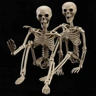 2 Pack 40 Inches Halloween Skeleton Life Size Full Body Realistic Posable Movabl