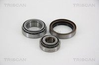 Triscan Radlagersatz 8530 25239 FüR Dacia Passend FüR Nissan Renault