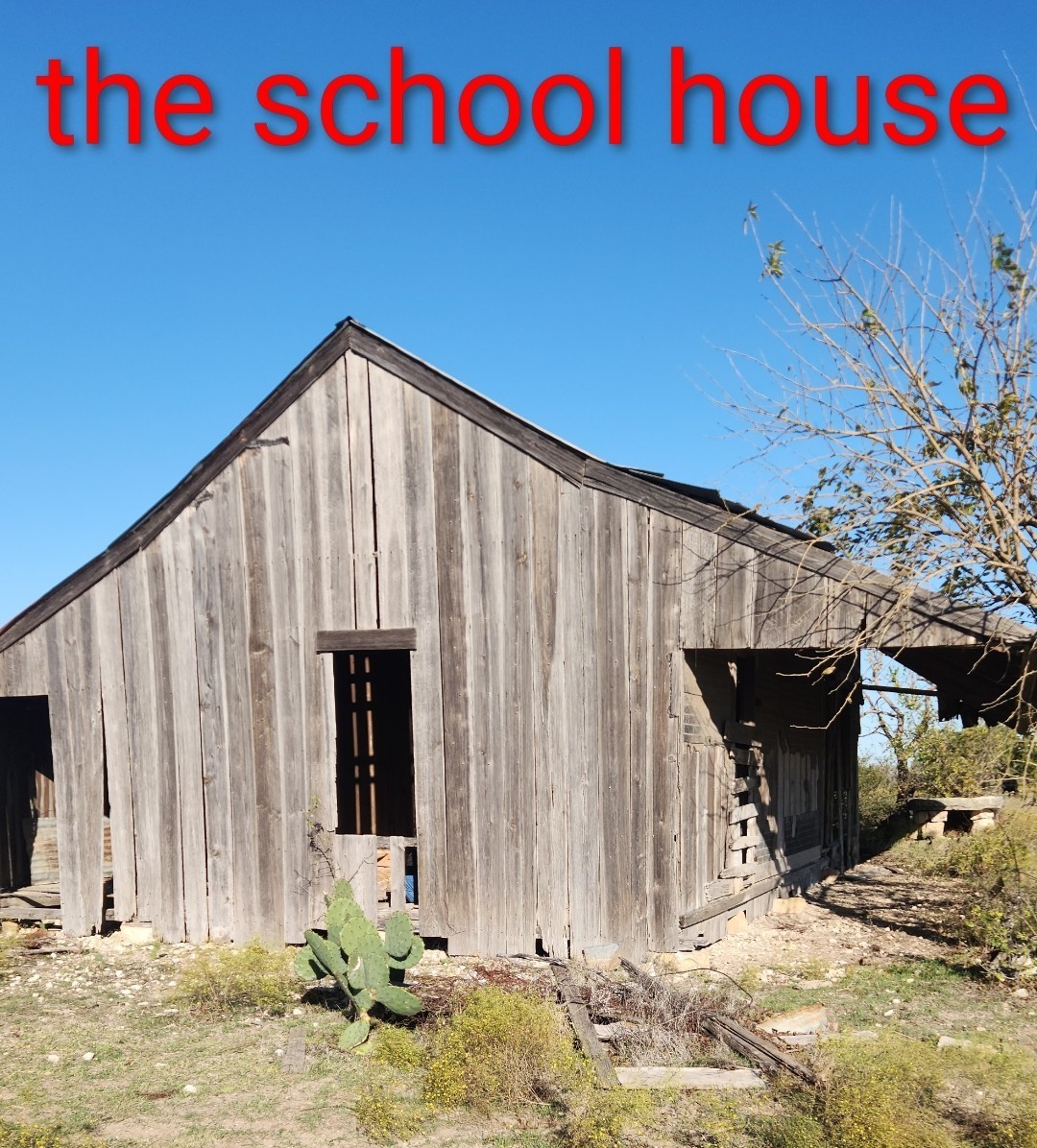 Trilobite Fossil Fragment • Elrathia Thorax • Bald Knob Ranch Texas Find