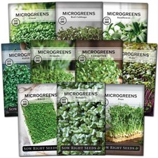 Microgreen Seeds Variety Pack 10 Heirloom Types for Indoor Sprouting Broccoli,