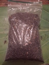 SEEDS Giant Poppy Papaver Mixed Colours Organic Bees Pollinator Easy Flowers