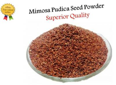 Mimosa Pudica Seed Powder Lajwanti Churn 50g-2Kg Organic Dormilones Humble Plant