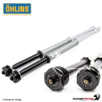 OHLINSスプリング ステッカー付き Ohlins Racing FKR 123 Pressurized Fork Cartridge Kit