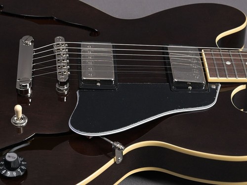 Epiphone Jim James ES-335 - Picture 9 of 14