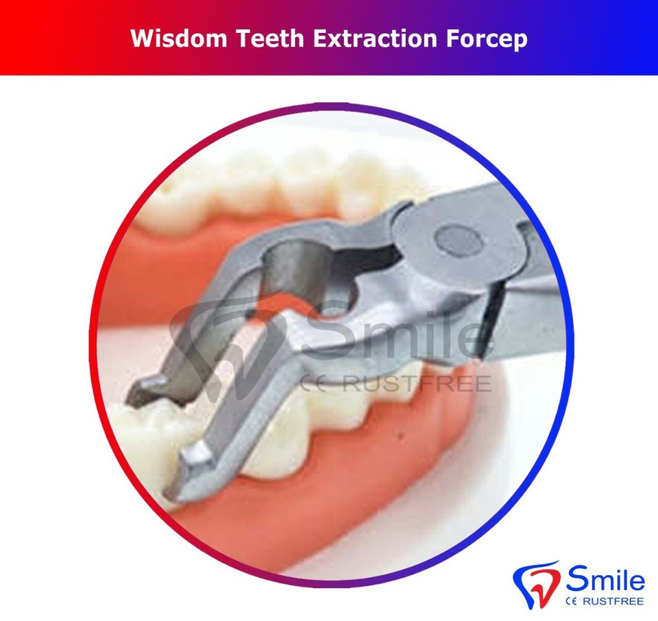 Dental Plucking Teeth For Wisdom Teeth Special Impacted Tooth
