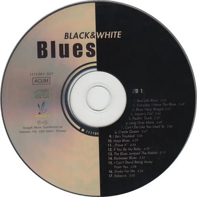 2xCD Alvin Lee, Rory Gallagher, Abi Wallenstein, Muddy Waters Black & White Blu