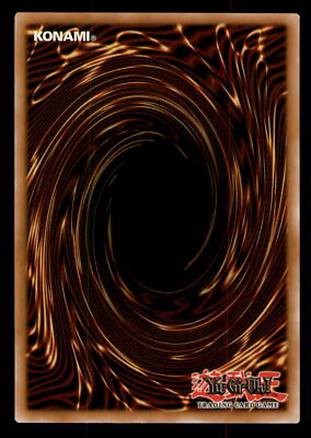 YuGiOh Wave of Light Structure Deck Valhalla, Hall of the Fallen SR05-EN029 YuGiOh Wave of Light Structure Deck Valhalla, Hall of the Fallen SR05-EN029