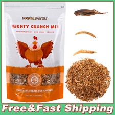 1 LB Dried Mealworms, River Shrimp, Crickets Blend for Turtles, Reptiles  Birds