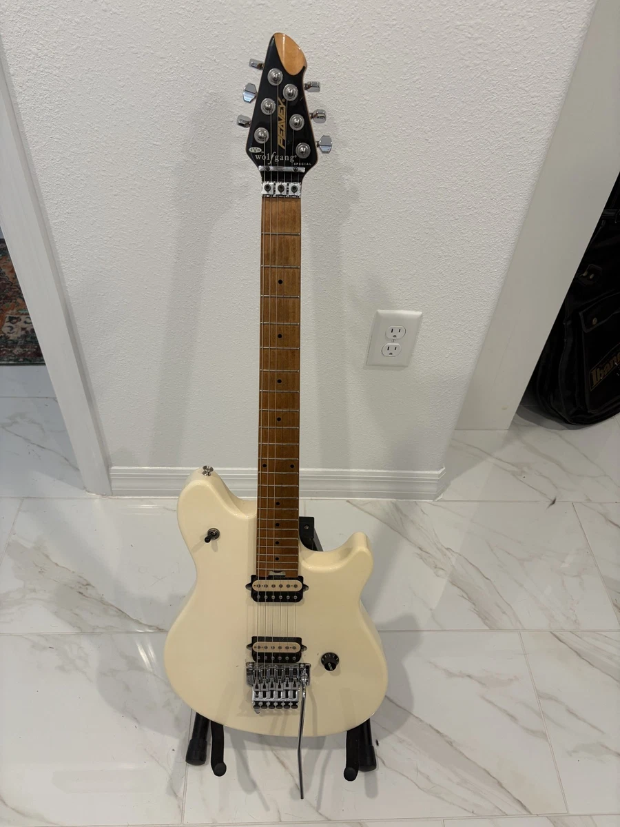 Peavey Wolfgang Case for sale | eBay