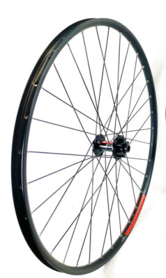 Laufrad vorne  DT Swiss 370 ALEXRIMS MD19 29'' NEU