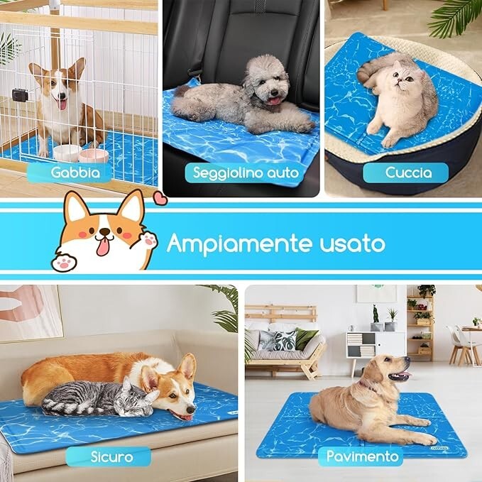 Imagen 6 de 6