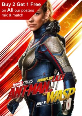 Ant-Man And The Wasp 2018 Evangeline Lilly Poster A5 A4 A3 A2 A1