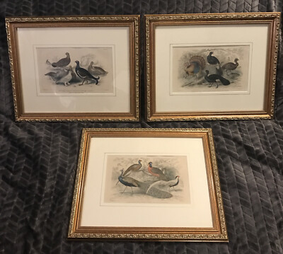 J. Bishop J. Stewart 3 Framed Art Prints Birds Pheasant Turkey Peafowl Curassow