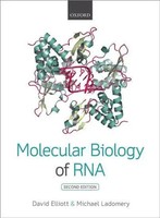 David Elliott (U. A.) | Molecular Biology Of RNA | Taschenbuch | Englisch (2015)