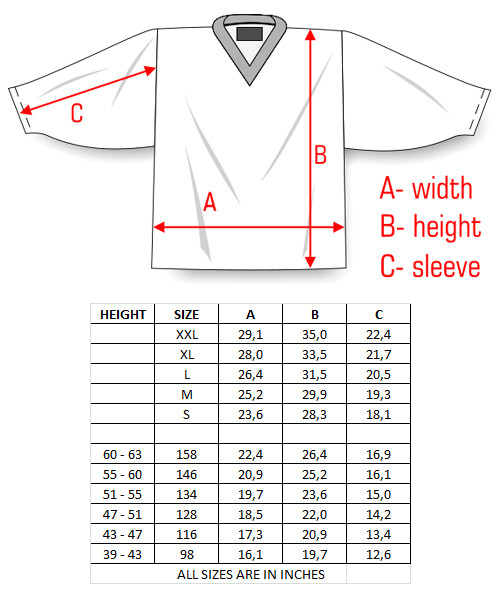 Team Czech republic RED Ice Hockey Jersey Custom Name and Number eBay