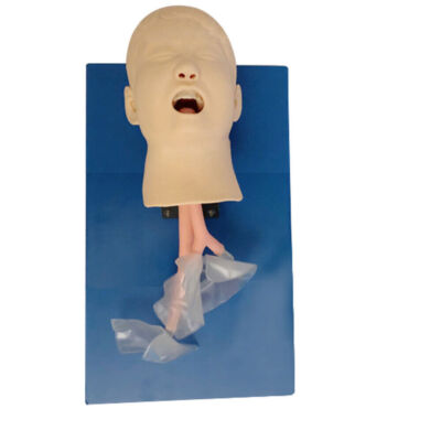 Medical Intubation Teach Head Child Teaching Model Intubation Manikin with Tube