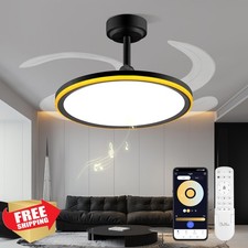 BAYSQUIRREL Black 42" Smart Ceiling Fan Light APP
