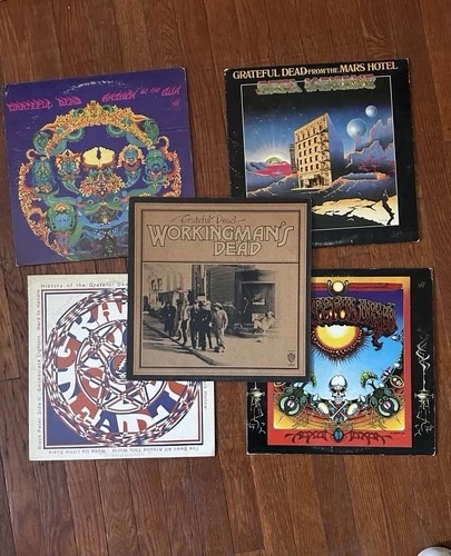 Lot of 5 Grateful Dead vinyl record albums Classic Rock Folk Psychedelic Rock